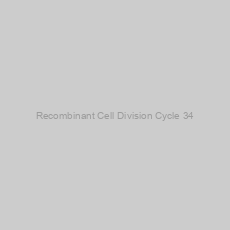 Image of Recombinant Cell Division Cycle 34